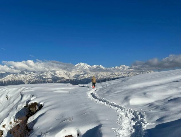 Dayara Bugyal Trek in winter — snow covered trail with trekker in Uttarkashi Uttarakhand